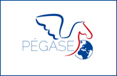 Pegase, la page de l’expatriation et des Français de l’étranger