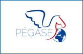 FBpegase