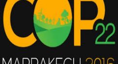 COP 22  - Marrakech 2016